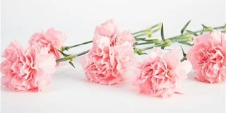 如何平衡职业发展和家庭生活