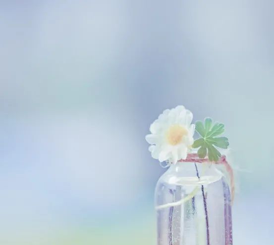 好书精读 好书精读