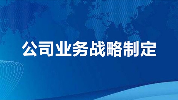 公司业务战略制定